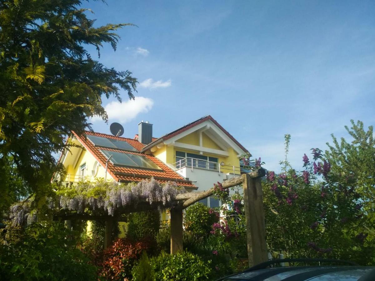 Schoenbuchjuwel Walddorf  Esterno foto