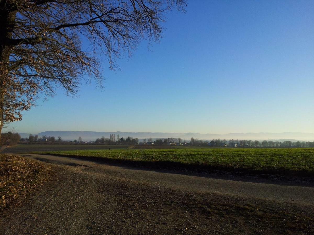 Schoenbuchjuwel Walddorf  Esterno foto